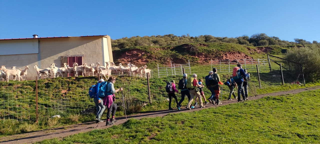 WhatsApp Image 2026-04-08 at 07.40.50 (4)